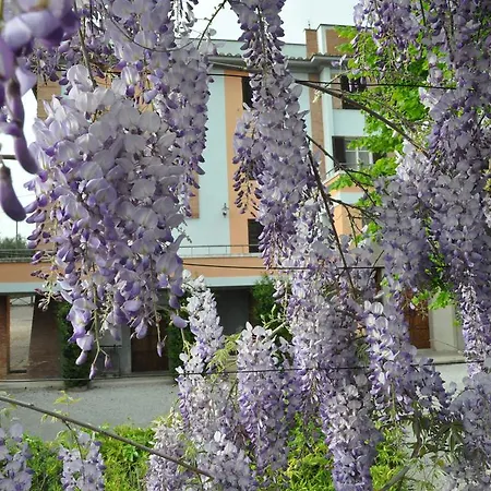 Rancio 팜스테이 San Vito (Terni)
